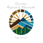 LOGO Aurora Novum (5)