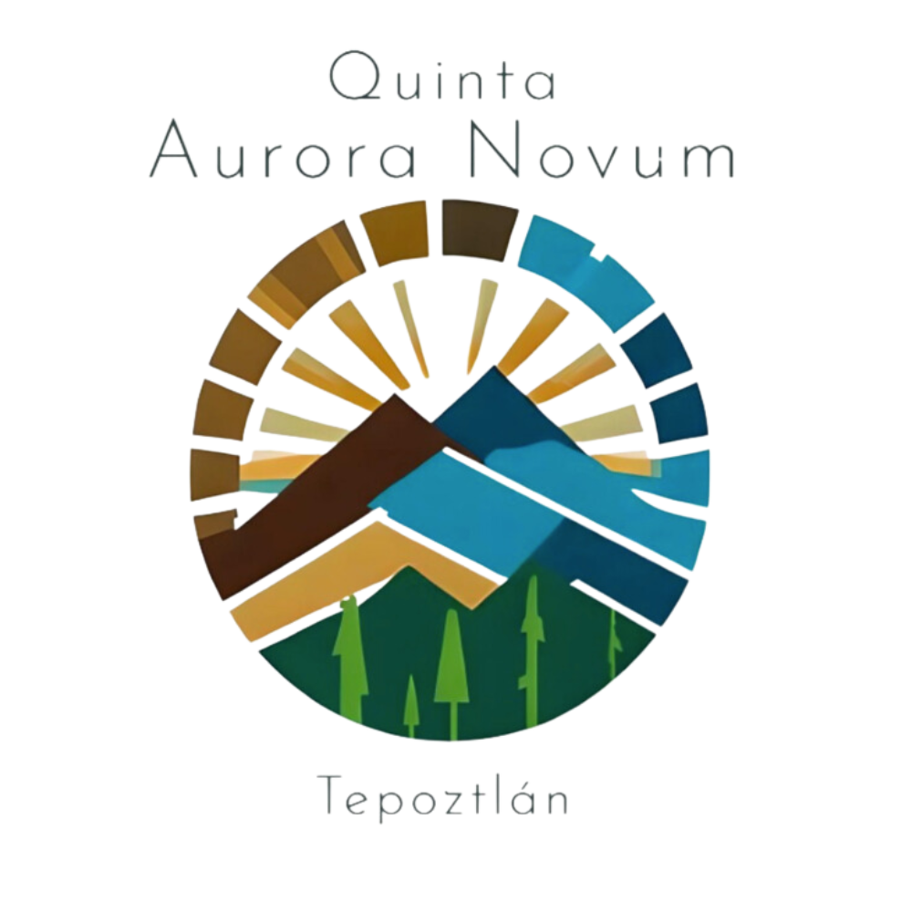LOGO Aurora Novum (5)